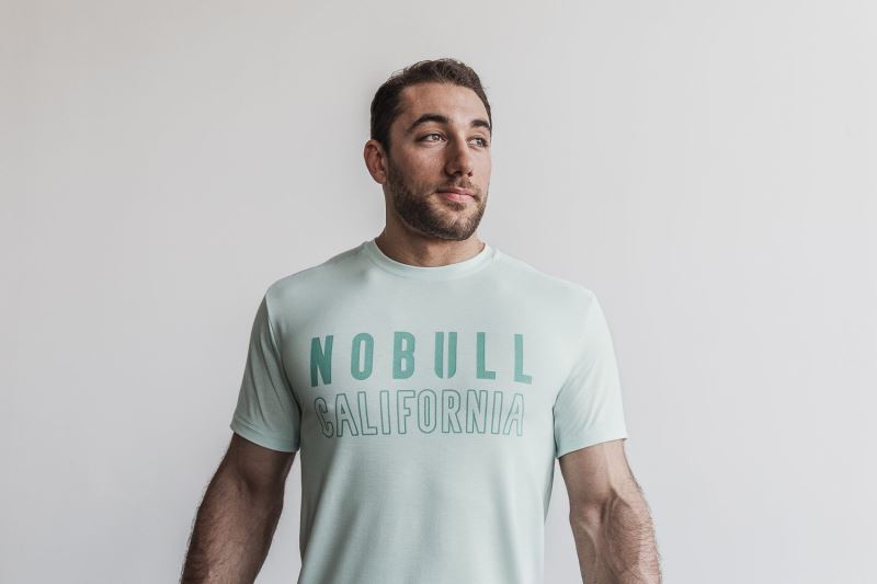 Mint Men's Nobull California T-Shirts | ZNWAIF-480